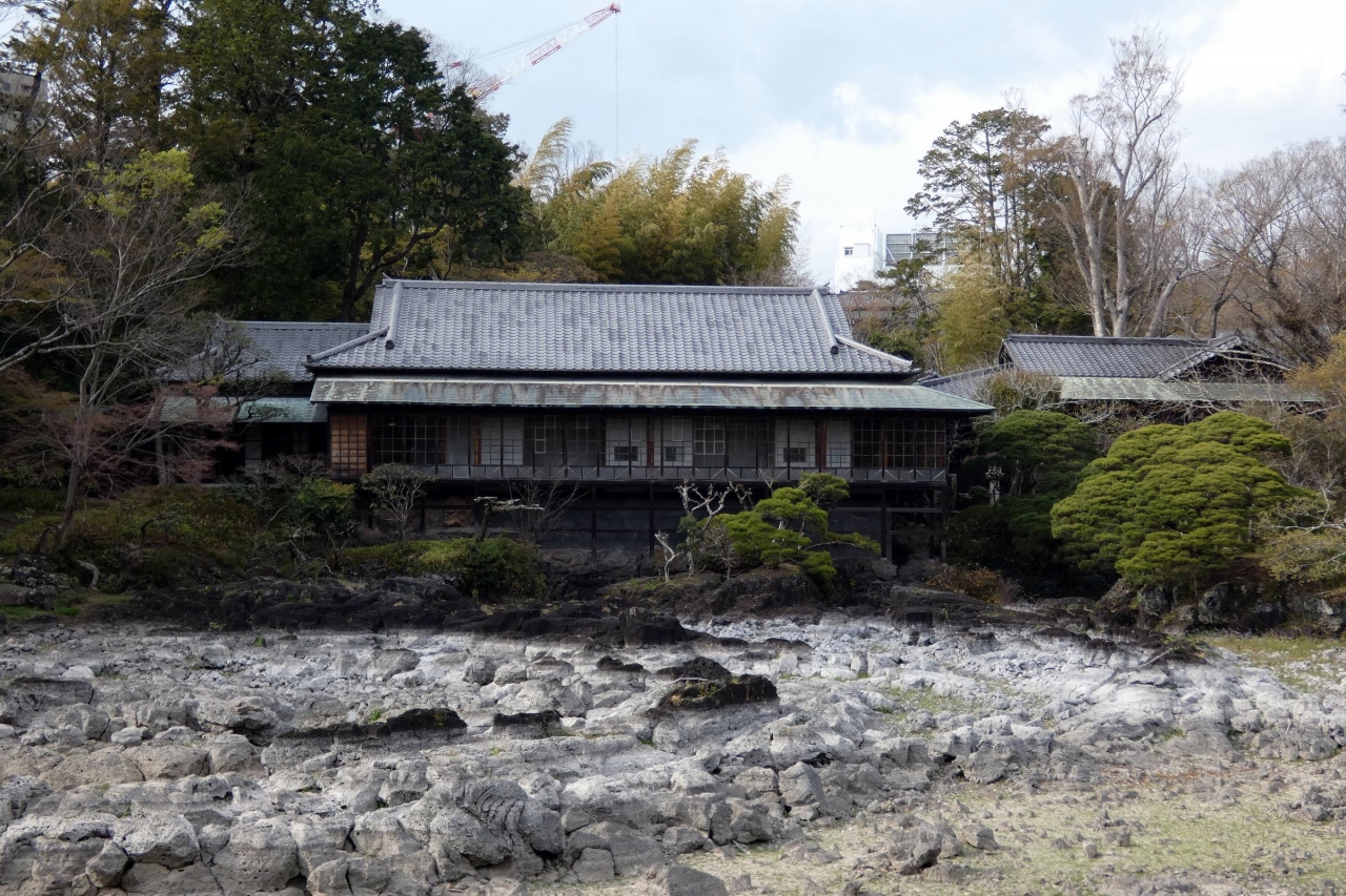 01 三島市立公園 楽寿園 らくじゅえん その1 三島 静岡県 の旅行記 ブログ By ミシマさん フォートラベル 01 三島市立公園 楽寿園 らくじゅえん その1 三島 静岡県 の旅行記 ブログ By ミシマさん フォートラベル