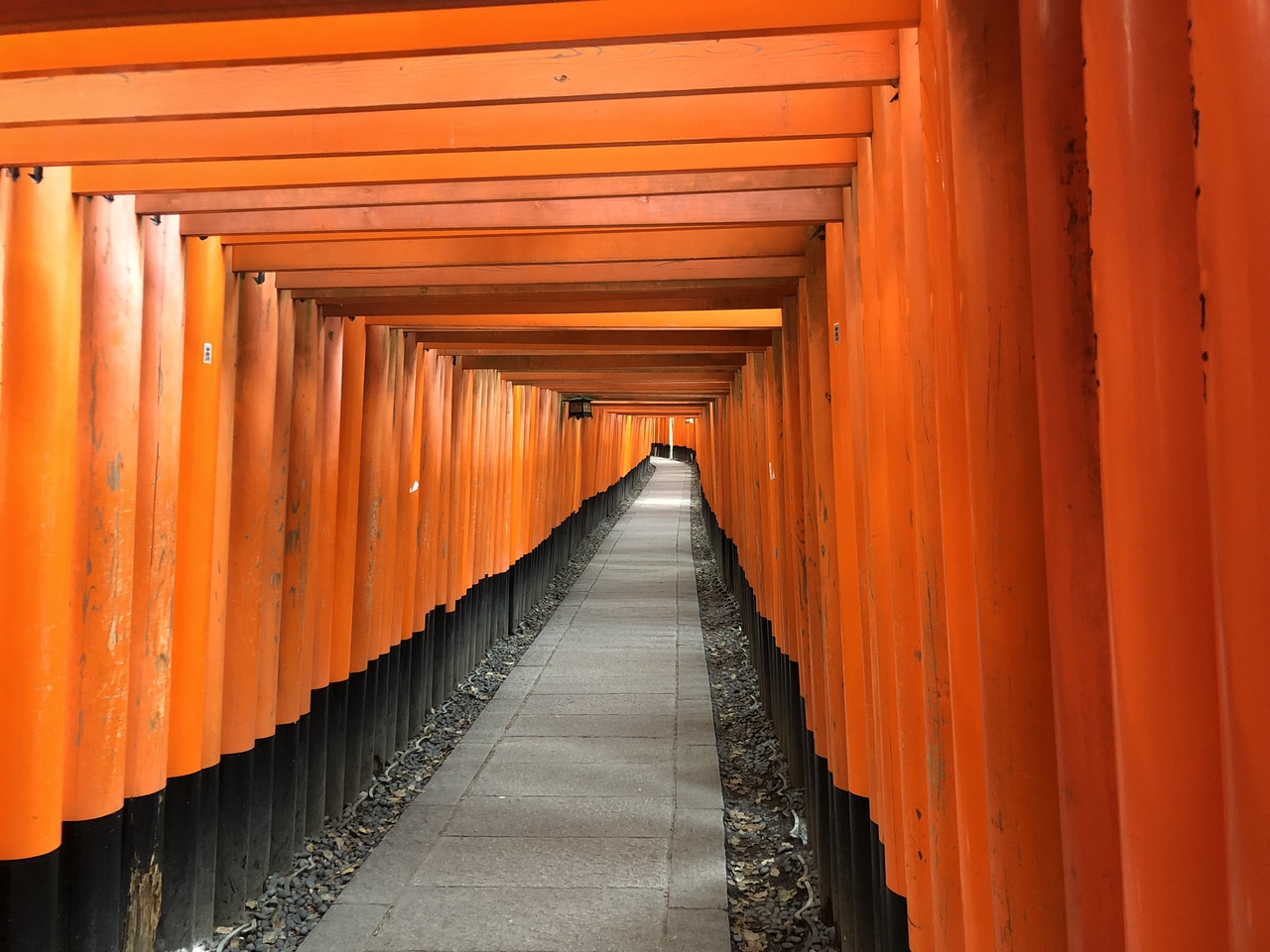 ヒッチハイカー 京都へ 京都の旅行記 ブログ By ざっとんさん フォートラベル