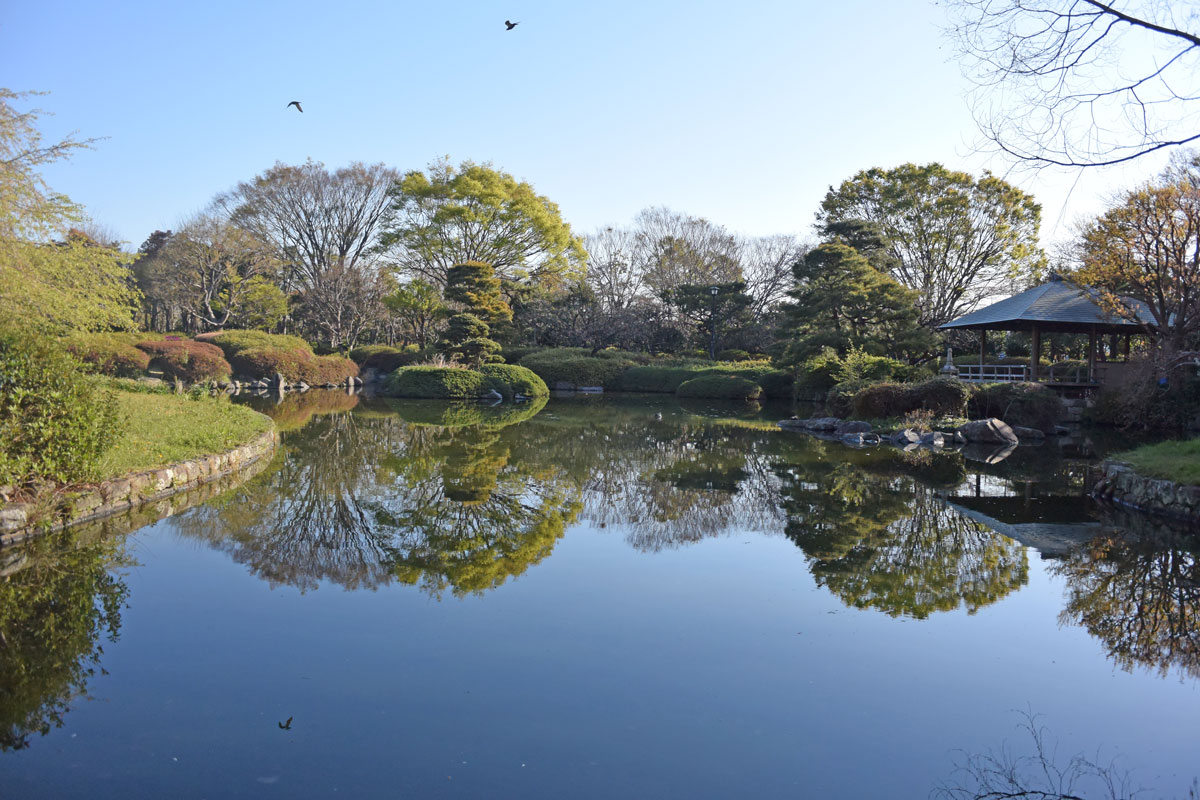 散歩 静岡市城北公園 静岡浅間神社 駿府公園付近 19 04 03 静岡市 葵区 駿河区 静岡県 の旅行記 ブログ By てんとう虫さん フォートラベル