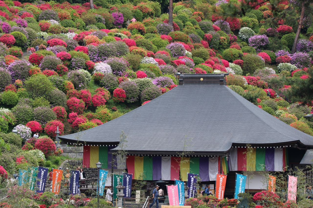 ｇｗは近場 ツツジを観に塩船観音寺へ 青梅 東京 の旅行記 ブログ By Suzunoさん フォートラベル