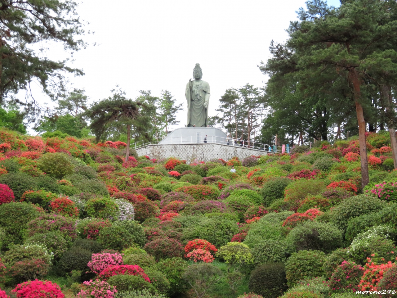 塩船観音寺つつじまつり 青梅 東京 の旅行記 ブログ By Morino296さん フォートラベル 塩船観音寺つつじまつり 青梅 東京 の旅行記 ブログ By Morino296さん フォートラベル