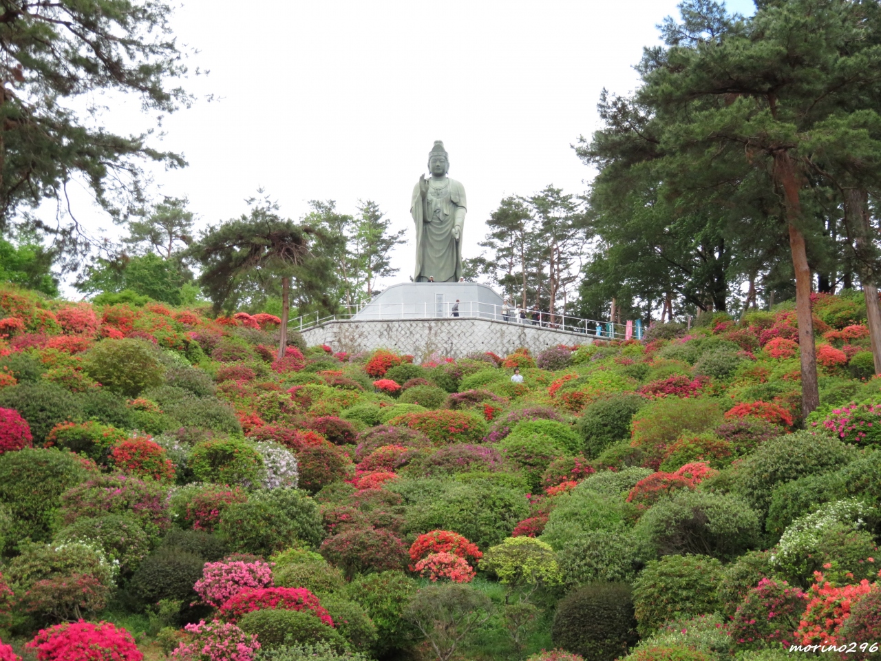 塩船観音寺つつじまつり 青梅 東京 の旅行記 ブログ By Morino296さん フォートラベル