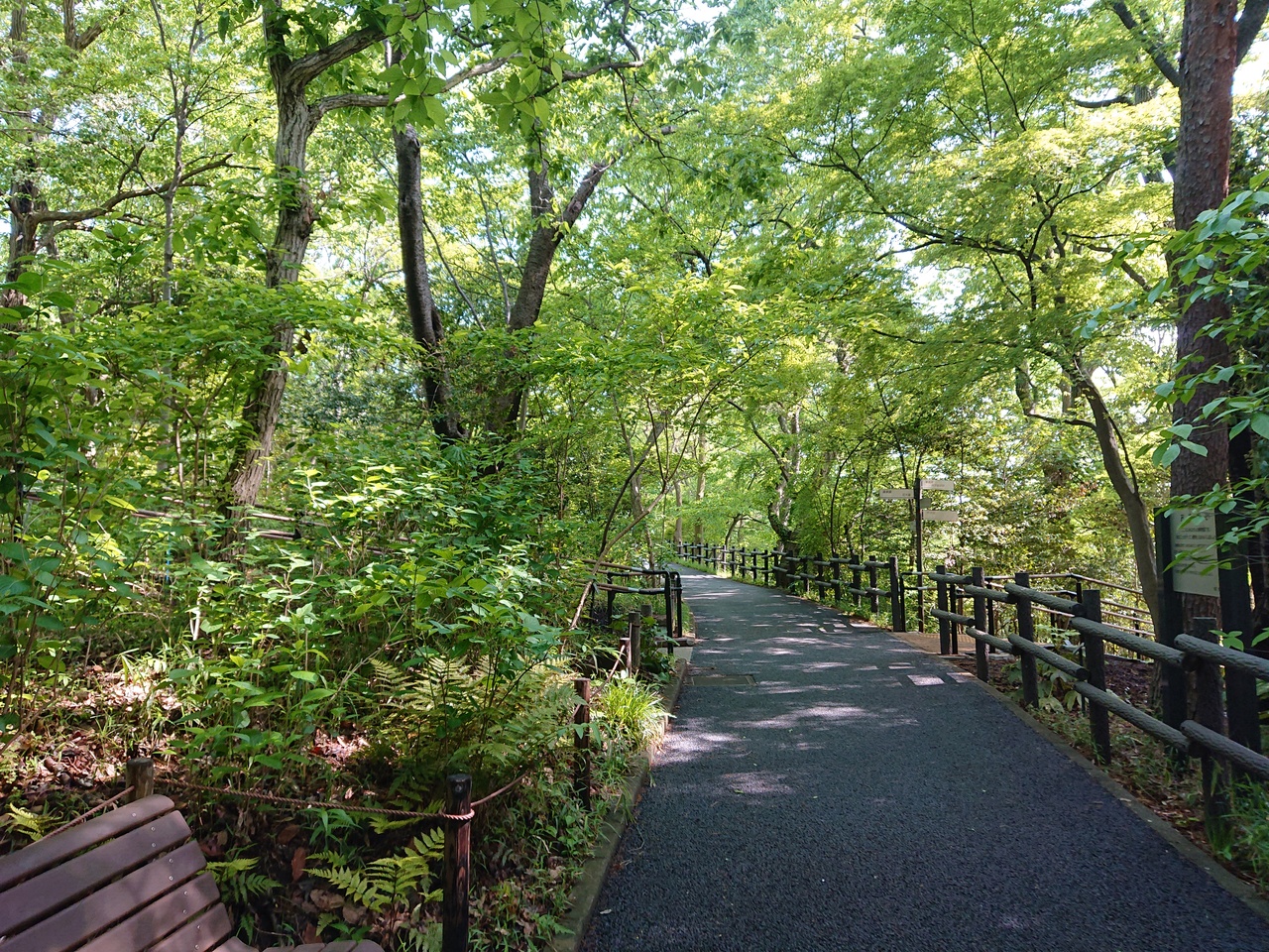 5月2日 横浜市環境支援センターとこども植物園 東神奈川 保土ヶ谷 弘明寺 神奈川県 の旅行記 ブログ By わんこさん フォートラベル