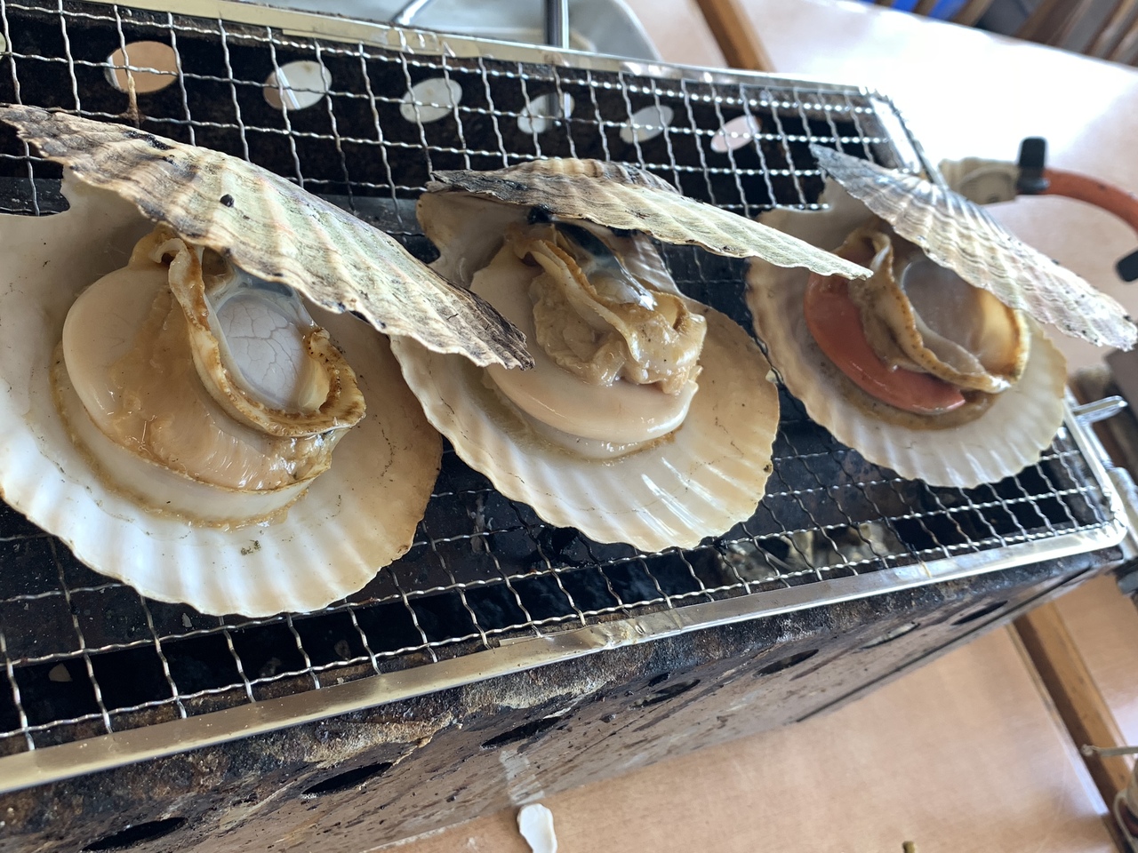 千葉 金谷港 海を眺めながら浜焼きを食べる旅 富津 千葉県 の旅行記 ブログ By まるこさん フォートラベル