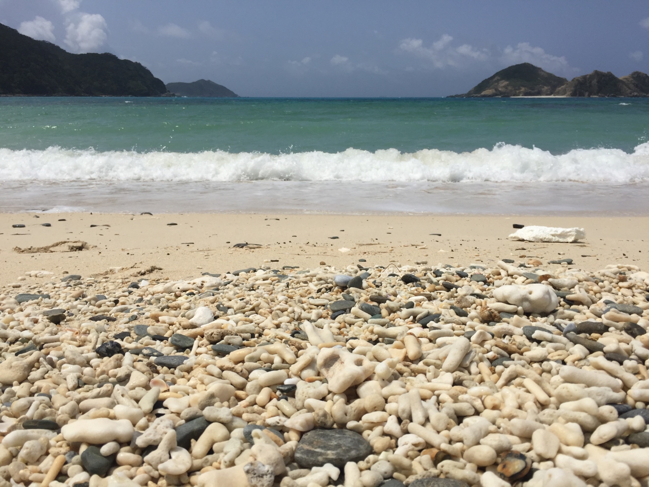 ｇｗ 渡嘉敷島 那覇4泊5日その1 慶良間諸島 沖縄県 の旅行記 ブログ By タカさん フォートラベル