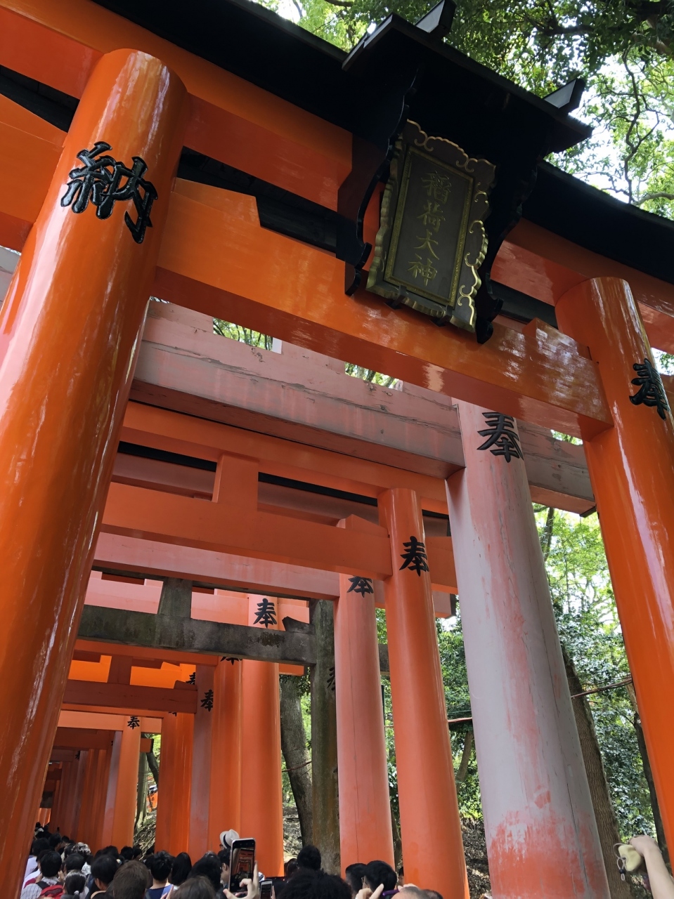 ゴールデンウィークは関西へ その3 京都の旅行記 ブログ By みぃさん フォートラベル ゴールデンウィークは関西へ その3 京都の旅行記 ブログ By みぃさん フォートラベル
