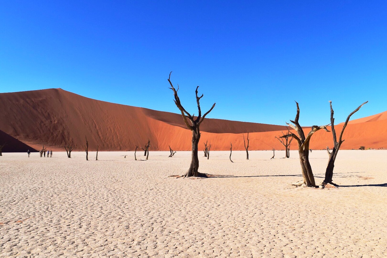 世界最古の砂漠 ナミブ砂漠 ナミブ砂漠周辺 ナミビア の旅行記 ブログ By ユーさん フォートラベル