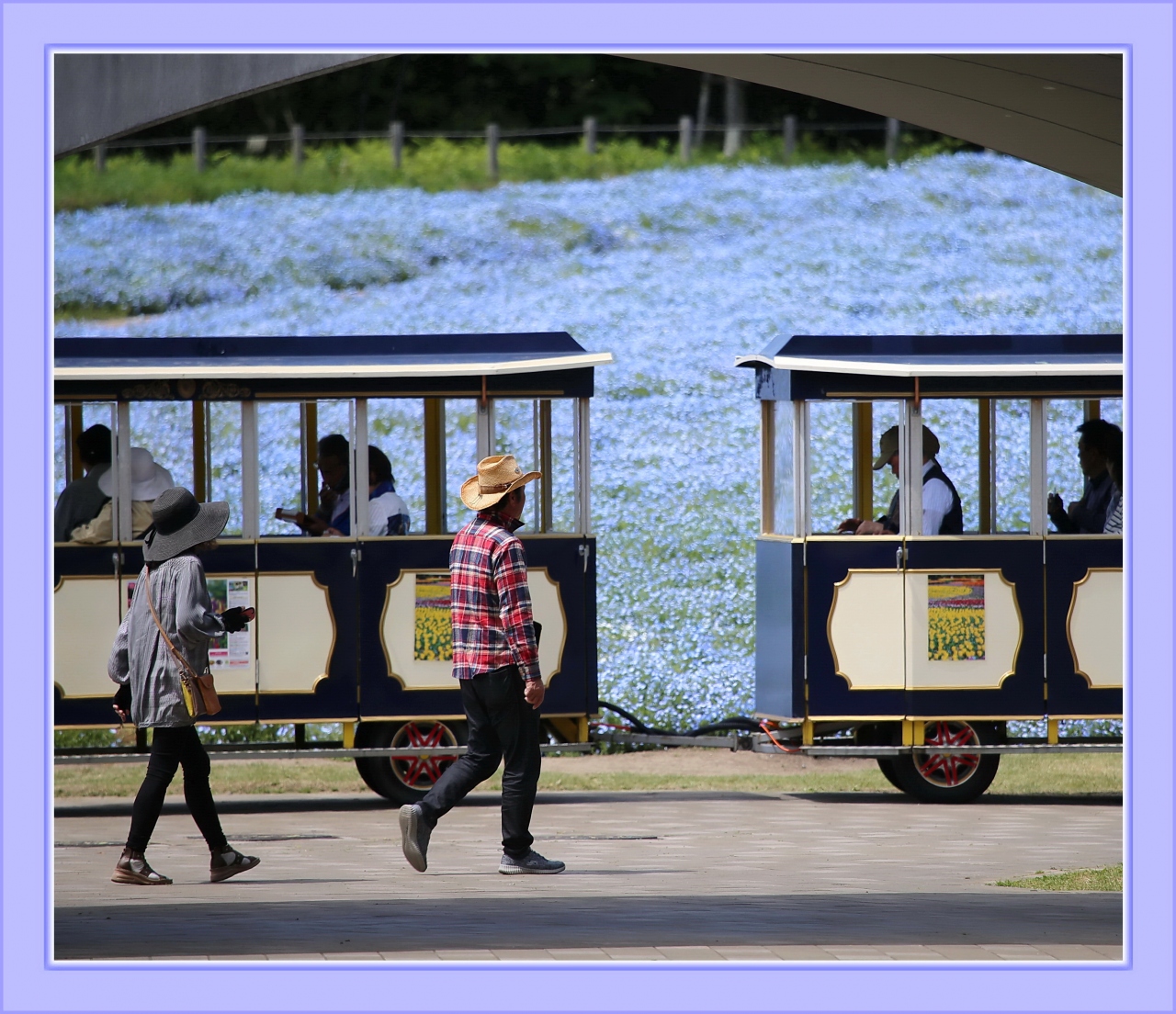 Solitary Journey 1987 春うららかな 青空と丘一面に咲く青いネモフィラの花はまさしく絶景 備北丘陵公園 広島県庄原市 庄原 広島県 の旅行記 ブログ By Mechagodzilla 703さん フォートラベル Solitary Journey 1987 春うららかな 青空と丘一面に咲く青いネモフィラの花はまさしく絶景 備北丘陵公園 広島県庄原市 庄原 広島県 の旅行記 ブログ By Mechagodzilla 703さん フォートラベル
