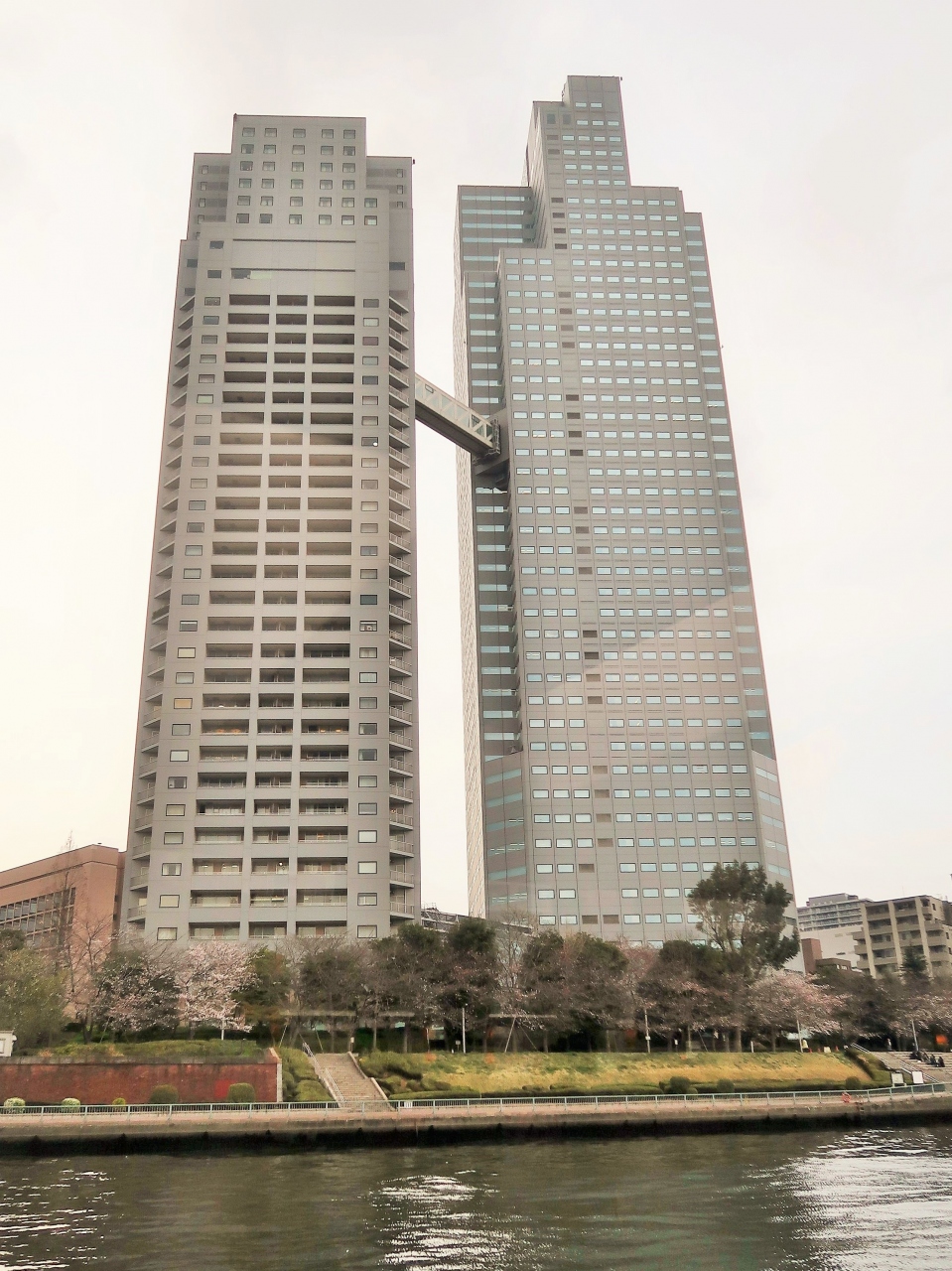 都内桜名所14 東京湾水上バス 聖路加ガーデン 日の出桟橋 浜離宮 レインボーブリッジ 浜松町 竹芝 東京 の旅行記 ブログ By マキタン２さん フォートラベル