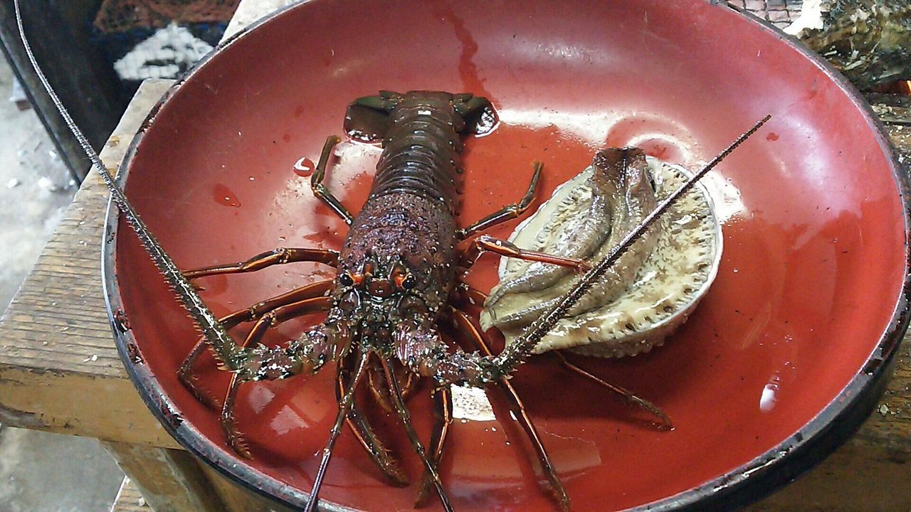 日帰り伊勢海老松阪牛二大グルメ旅 鳥羽 三重県 の旅行記 ブログ By マニー1980さん フォートラベル 日帰り伊勢海老松阪牛二大グルメ旅 鳥羽 三重県 の旅行記 ブログ By マニー1980さん フォートラベル