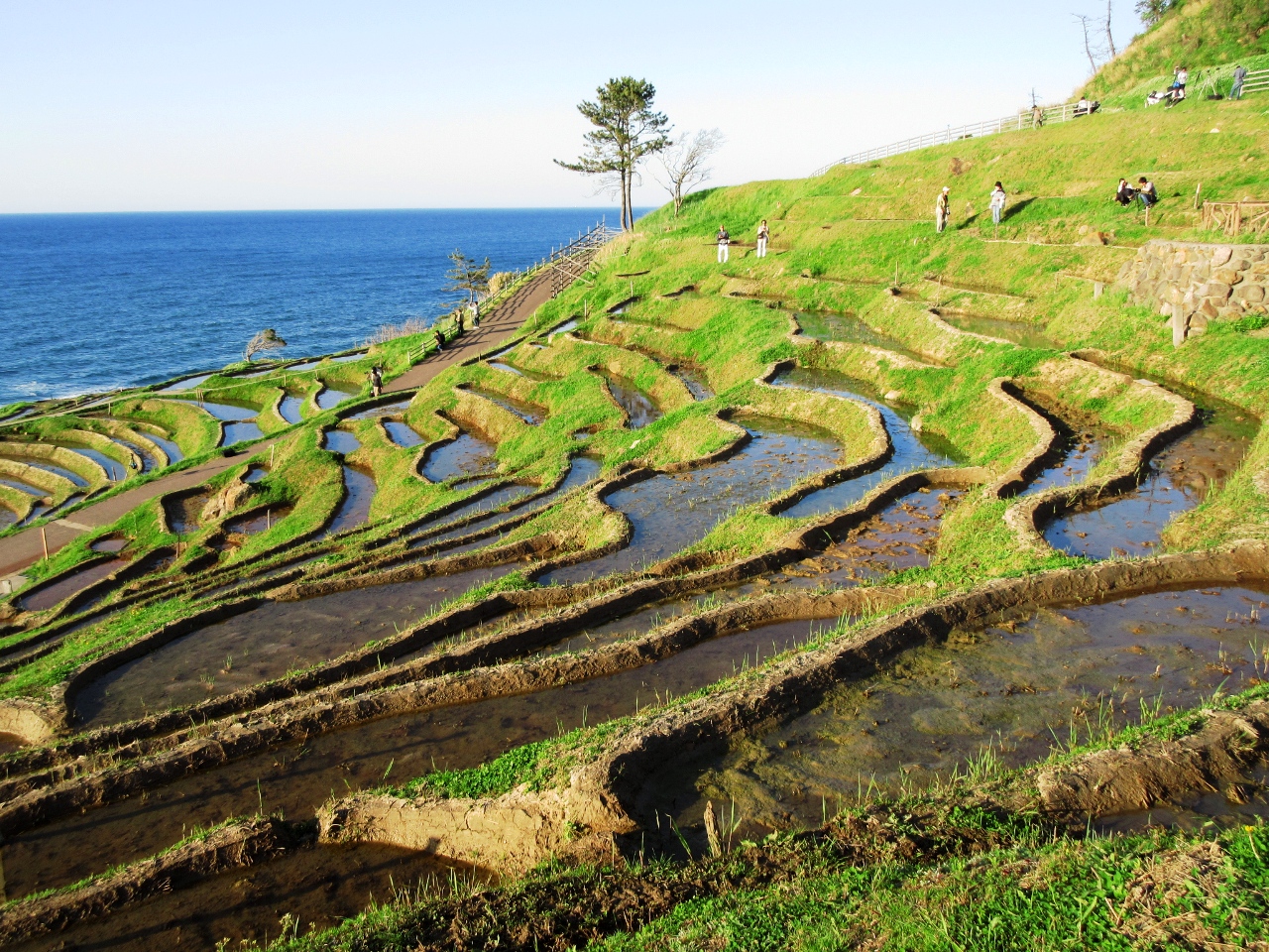 路線バスで行く能登半島の旅その1 白米千枚田 曽々木海岸へ 石川県の旅行記 ブログ By Tomoさん フォートラベル 路線バスで行く能登半島の旅その1 白米千枚田 曽々木海岸へ 石川県の旅行記 ブログ By Tomoさん フォートラベル