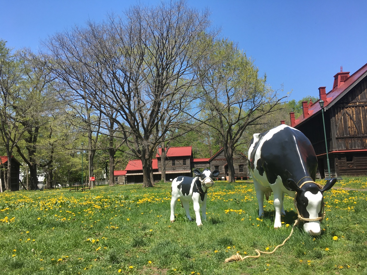 良いお天気の北海道大学構内ブラブラ散歩 札幌 北海道 の旅行記 ブログ By ザリガニ大王さん フォートラベル