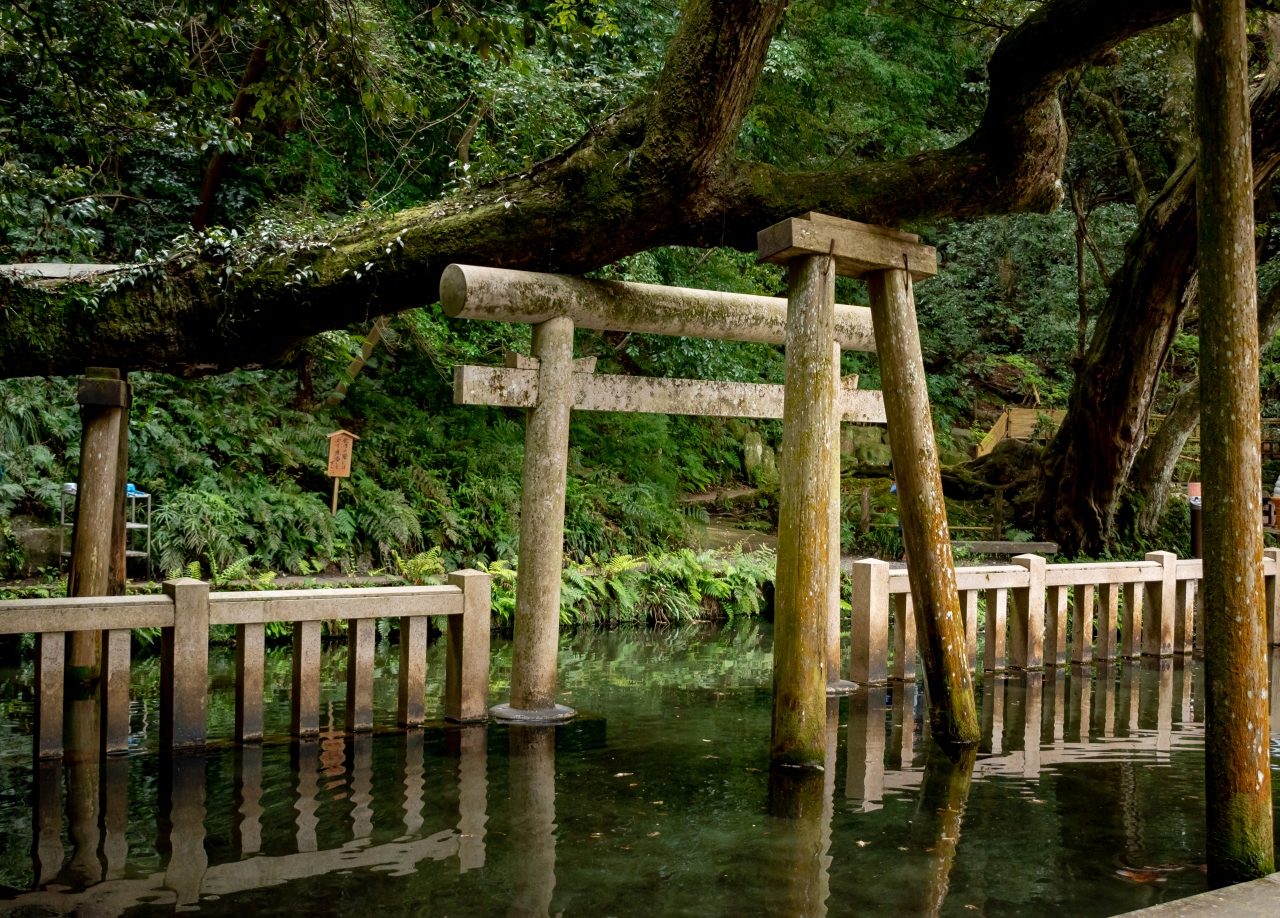 19年初詣 東国三社参り 鹿島 茨城県 の旅行記 ブログ By Tackさん フォートラベル 19年初詣 東国三社参り 鹿島 茨城県 の旅行記 ブログ By Tackさん フォートラベル