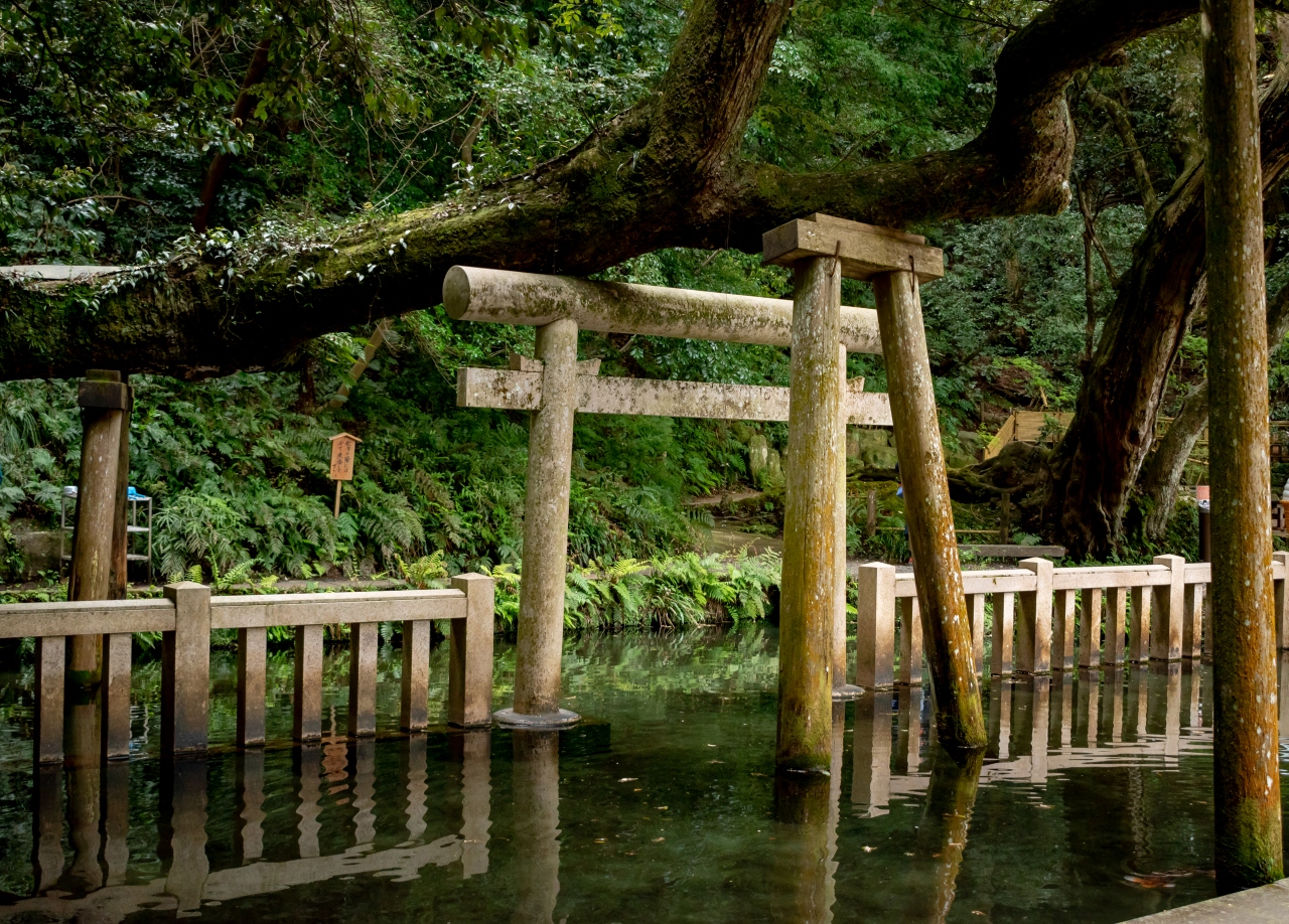 19年初詣 東国三社参り 鹿島 茨城県 の旅行記 ブログ By Tackさん フォートラベル