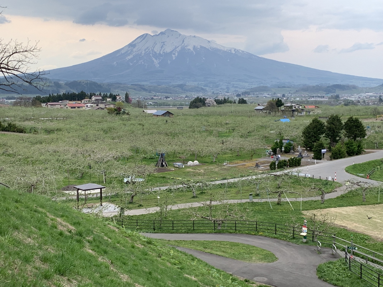 1904 05gw 10 弘前りんご花まつり Hirosaki Apple Flowers Festival Aomori 弘前 青森県 の旅行記 ブログ By Maikonさん フォートラベル