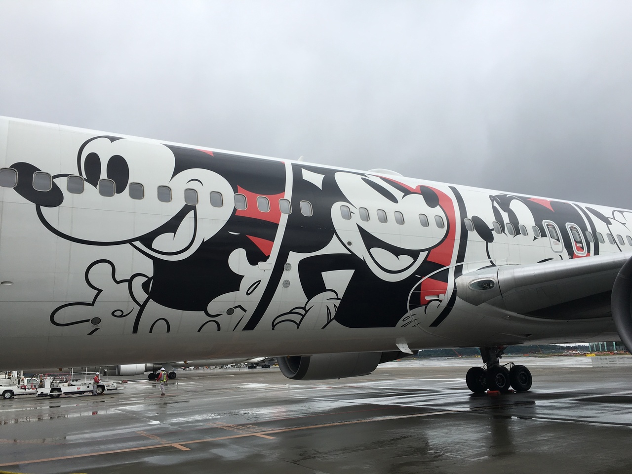 人生に旅という楽しみ を Jalドリームエキスプレスチャーターフライトミッキー90周年記念 千葉県の旅行記 ブログ By ミンクさん フォートラベル