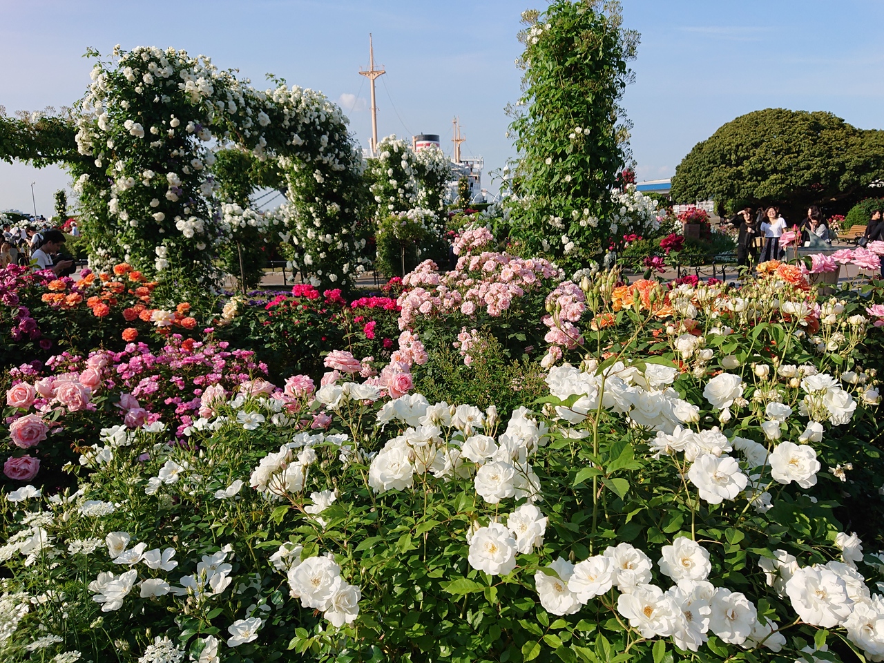 山下公園 港の見える丘公園の薔薇は満開です 横浜 神奈川県 の旅行記 ブログ By わんこさん フォートラベル
