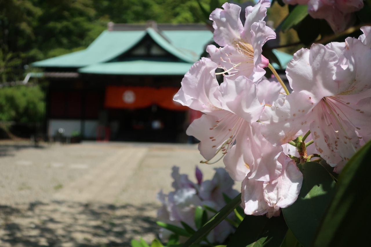 つつじの佐白山正福寺の佐白観音 坂東23 藤の笠間稲荷神社 笠間工芸の丘でお土産を 長い一日 笠間 茨城県 の旅行記 ブログ By 風なりさん フォートラベル つつじの佐白山正福寺の佐白観音 坂東23 藤の笠間稲荷神社 笠間工芸の丘でお土産を 長い一日 笠間 茨城県 の旅行記 ブログ By 風なりさん フォートラベル
