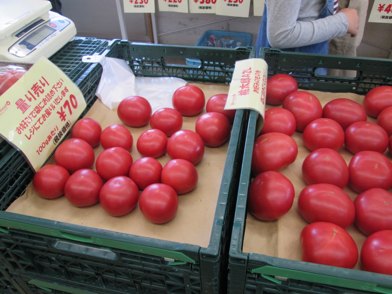 ご近所散歩 気になっていた 井出トマト直売所 我が家の夏野菜の栽培準備 藤沢 江ノ島 神奈川県 の旅行記 ブログ By Ichiroさん フォートラベル