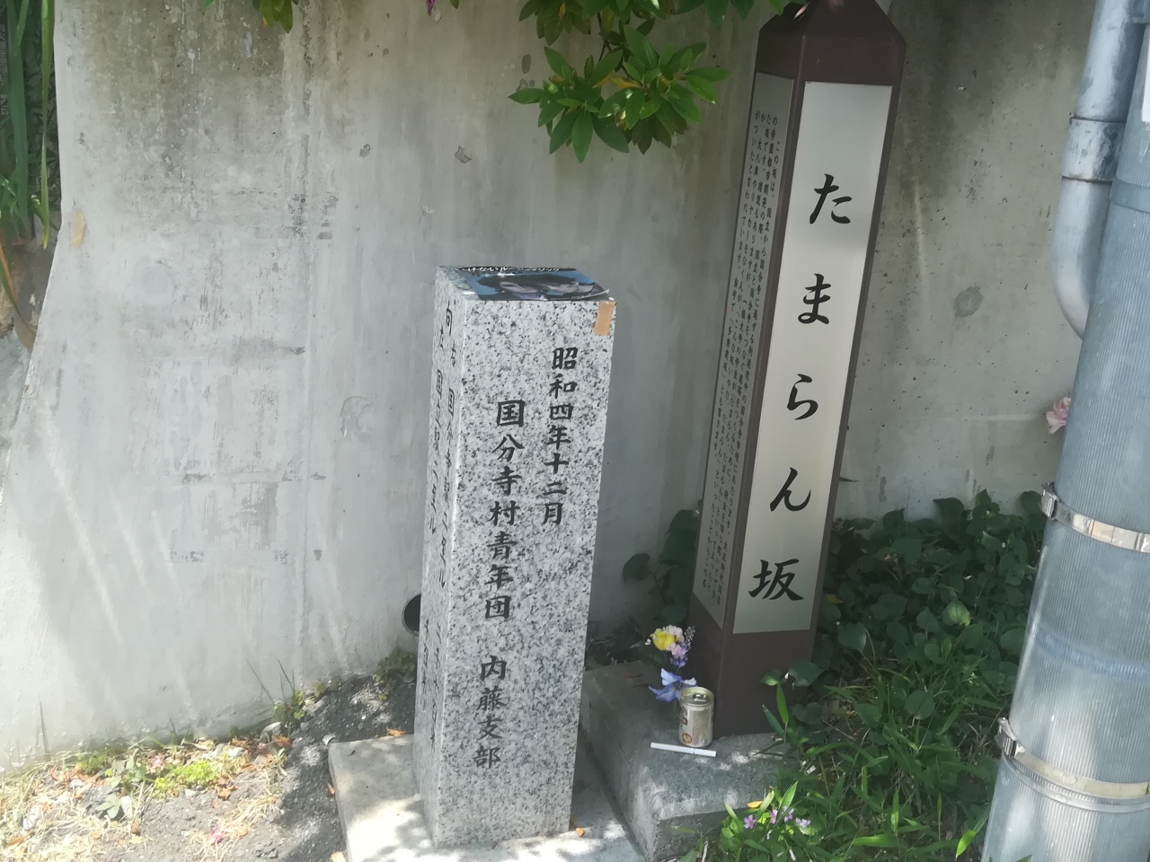 国立散策 たまらん坂 レ アントルメ国立 Nonowa国立店の国立焼きプリン 19 05 22 国立 府中 稲城 東京 の旅行記 ブログ By 杏仁豆腐さん フォートラベル 国立散策 たまらん坂 レ アントルメ国立 Nonowa国立店の国立焼きプリン 19 05 22 国立 府中 稲城 東京 の旅行記 ブログ By 杏仁豆腐さん フォートラベル
