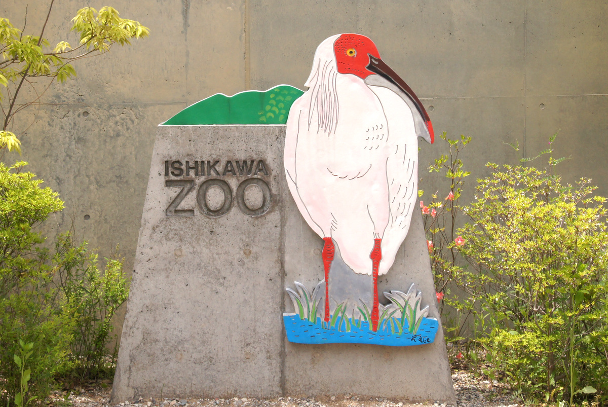 Gw明けの石川県で動物たちに会ってきたお話 1 東京 いしかわ動物園の部 石川県の旅行記 ブログ By しろんさん フォートラベル