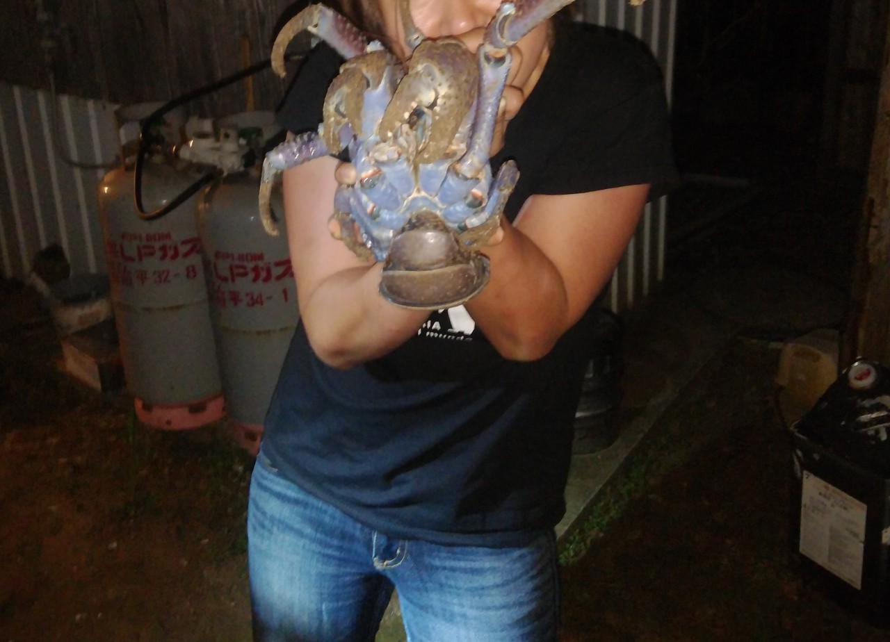 捕まえたヤシガニを食べた鳩間島と 日帰り黒島の旅 沖縄県の旅行記 ブログ By Piston39さん フォートラベル 捕まえたヤシガニを食べた鳩間島と 日帰り黒島の旅 沖縄県の旅行記 ブログ By Piston39さん フォートラベル