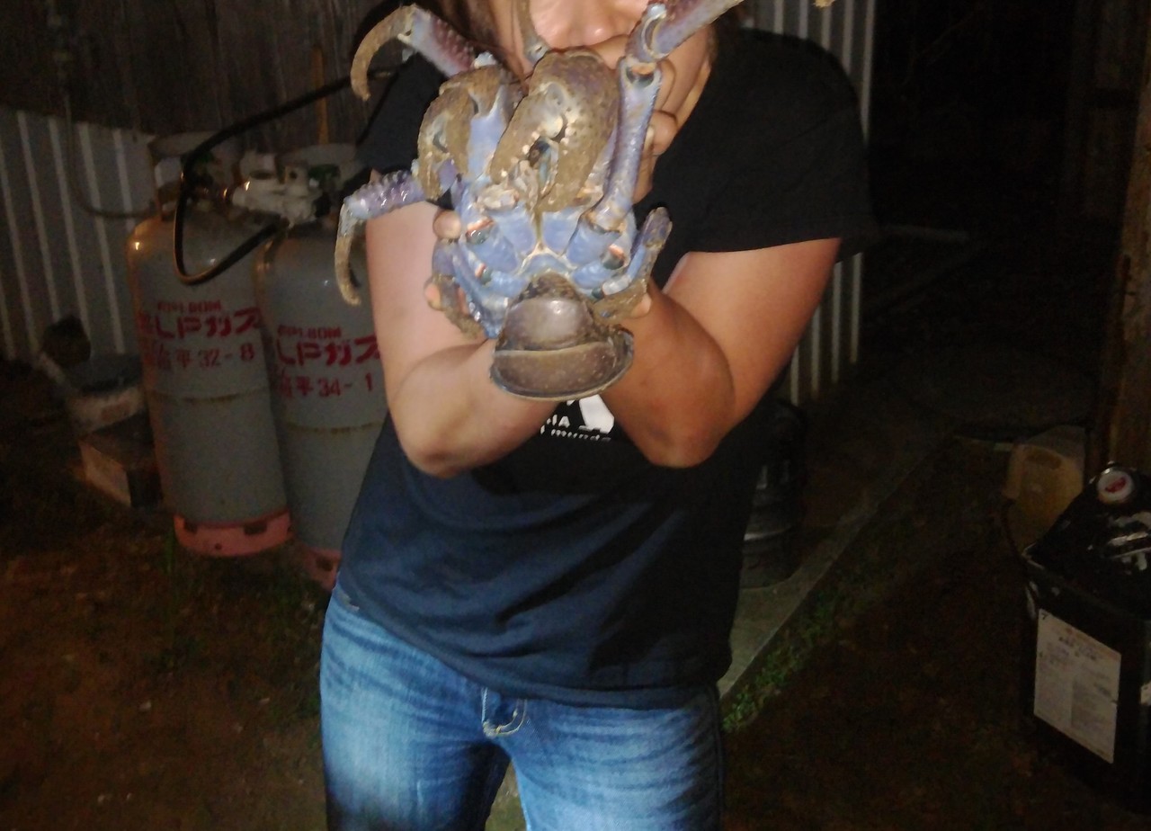 捕まえたヤシガニを食べた鳩間島と 日帰り黒島の旅 沖縄県の旅行記 ブログ By Piston39さん フォートラベル