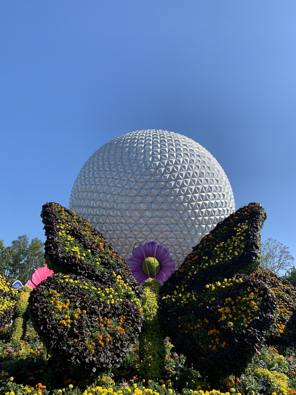 初めてのwdw旅行part5 2日目後半 オーランド アメリカ の旅行記 ブログ By めぐちさん フォートラベル