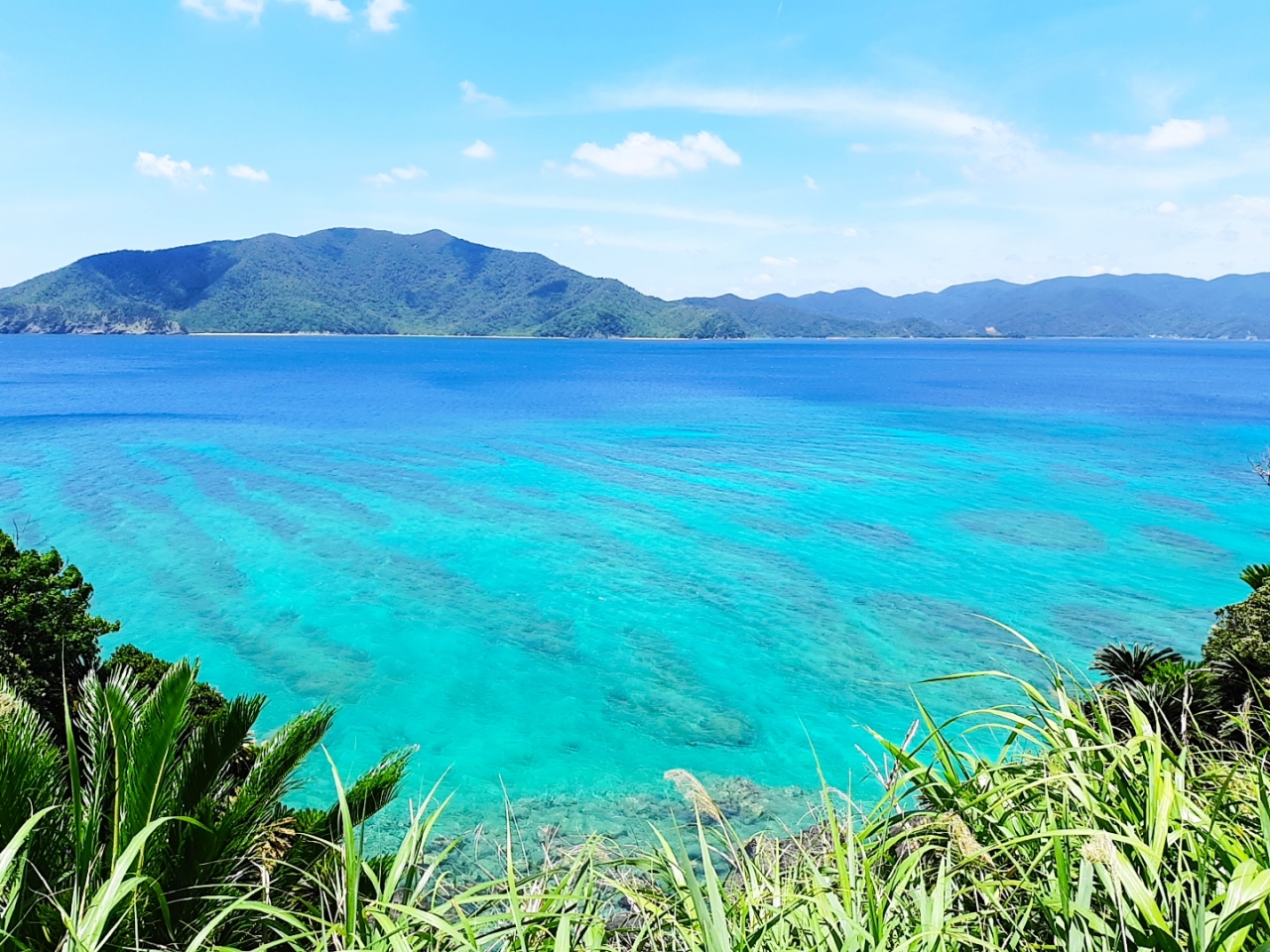 奄美大島に初上陸 奄美大島 鹿児島県 の旅行記 ブログ By ぽちぽちさん フォートラベル