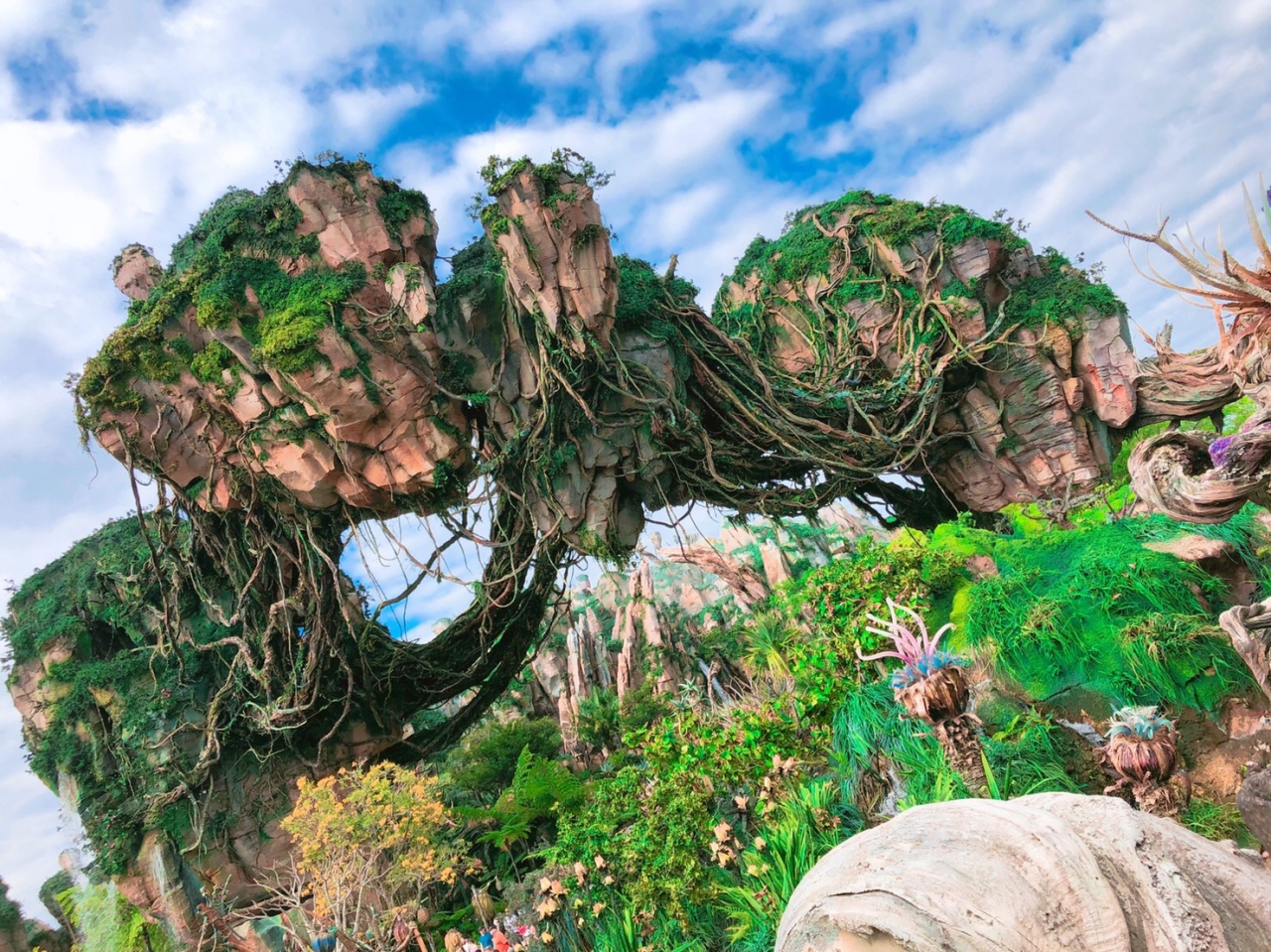 夢 悪夢 2回目のｗｄｗ In オーランド ５ Ak 感動のアバター編 オーランド アメリカ の旅行記 ブログ By げっぴーさん フォートラベル
