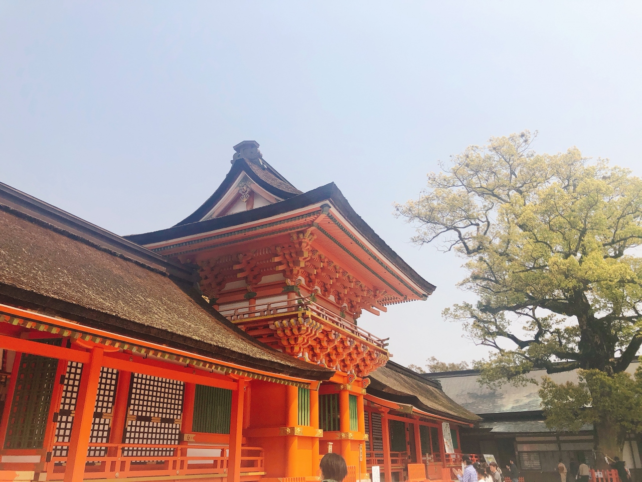 春の宇佐神宮 宇佐 豊後高田 大分県 の旅行記 ブログ By Makさん フォートラベル 春の宇佐神宮 宇佐 豊後高田 大分県 の旅行記 ブログ By Makさん フォートラベル