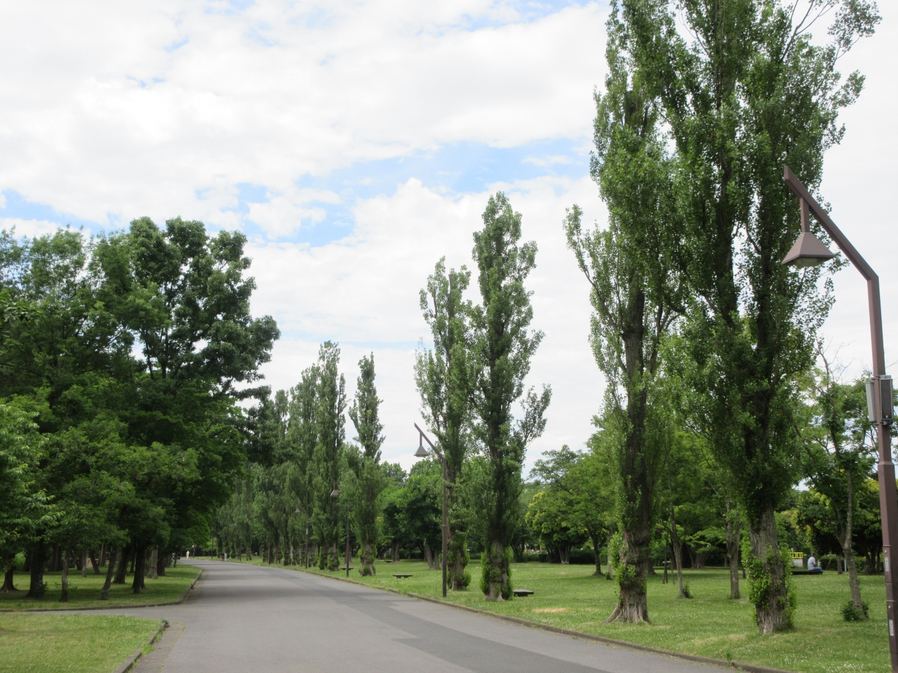 水元公園を歩きました』亀有・柴又(東京)の旅行記・ブログ by 