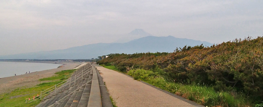沼津 千本浜へ朝の散歩 沼津 静岡県 の旅行記 ブログ By Belleduneさん フォートラベル