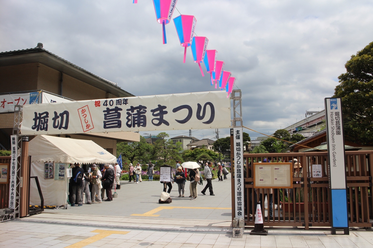 Tokyo葛飾区 40周年堀切菖蒲園 梅雨時期の花菖蒲が奇麗 6月 19 東京の旅行記 ブログ By Rockyさん フォートラベル Tokyo葛飾区 40周年堀切菖蒲園 梅雨時期の花菖蒲が奇麗 6月 19 東京の旅行記 ブログ By Rockyさん フォートラベル
