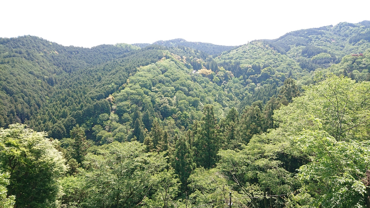 近畿地方の自然豊かな大秘境 吉野 奈良 吉野 奈良県 の旅行記 ブログ By アラビアンナイトさん フォートラベル
