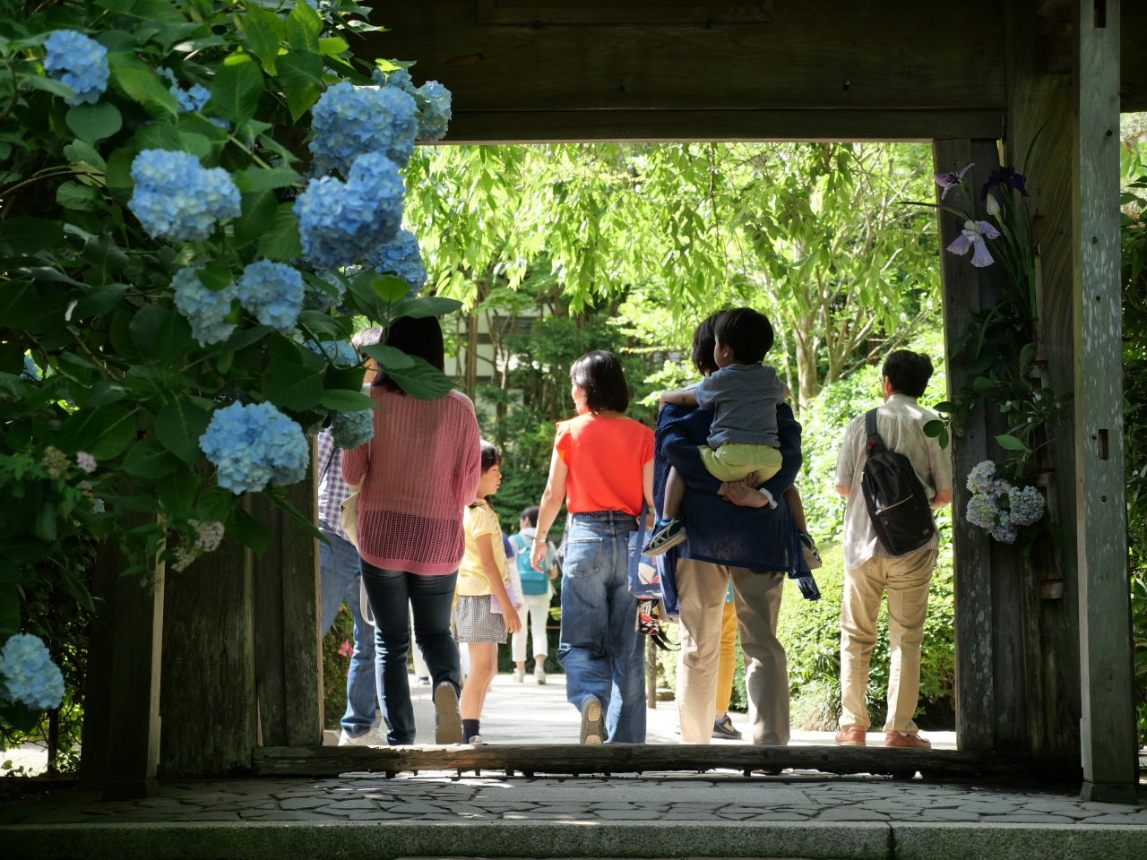 北鎌倉 見頃の 明月院ブルー19 を訪れて 鎌倉 神奈川県 の旅行記 ブログ By Sakatomoさん フォートラベル