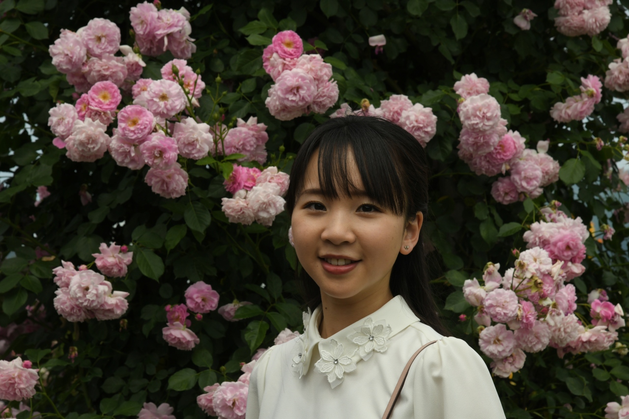 華麗です 信州中野一本木公園薔薇まつり 中野 小布施 長野県 の旅行記 ブログ By Kazukazuさん フォートラベル