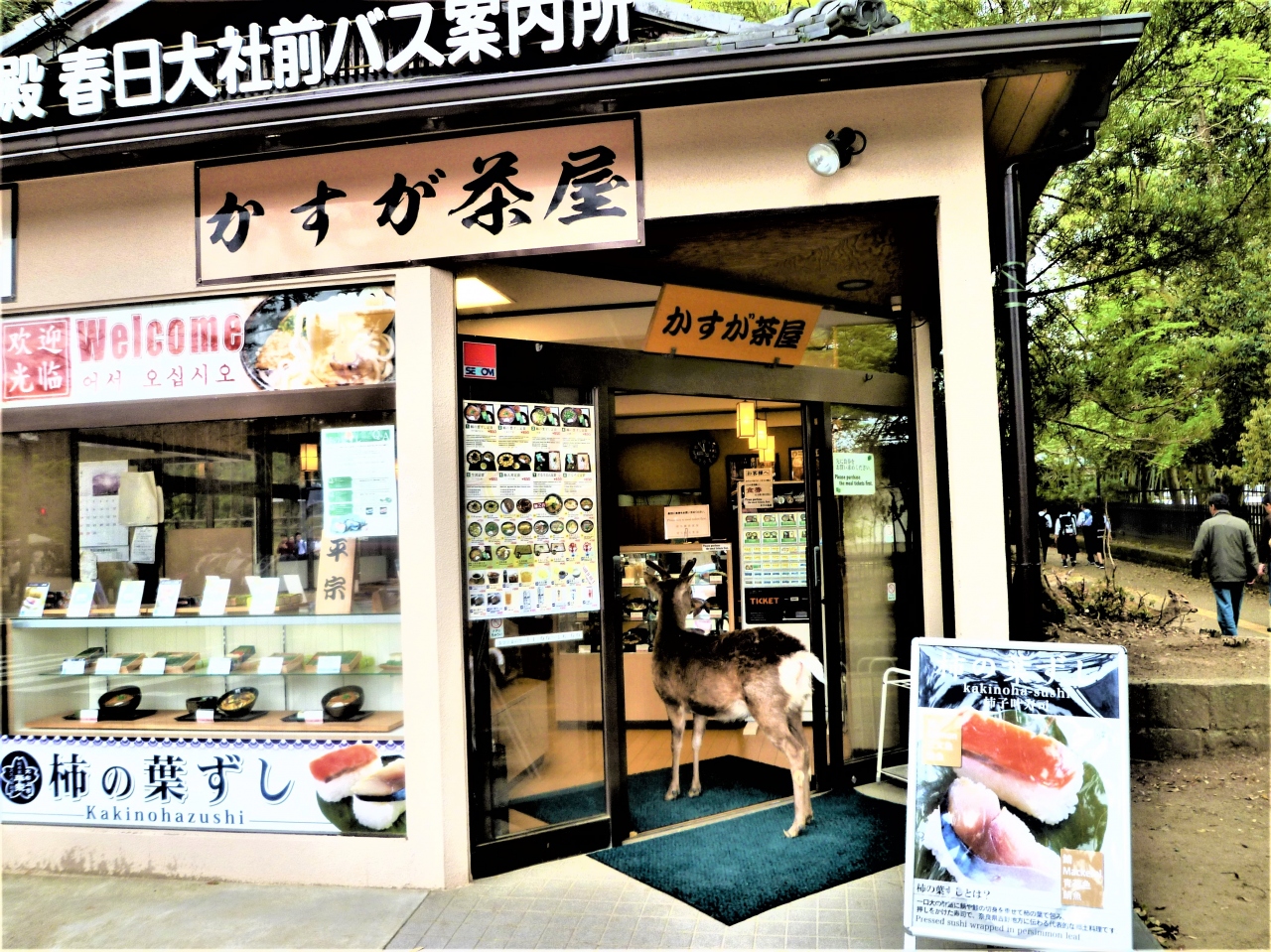 奈良の一日乗車券 3日 1 3 フジの春日大社と鹿 奈良市 奈良県 の旅行記 ブログ By Ud Bfさん フォートラベル 奈良の一日乗車券 3日 1 3 フジの春日大社と鹿 奈良市 奈良県 の旅行記 ブログ By Ud Bfさん フォートラベル
