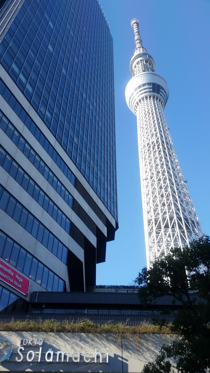 東京ぶらぶら 17年 スカイツリーとハリネズミ 浅草 東京 の旅行記 ブログ By Uzukoさん フォートラベル