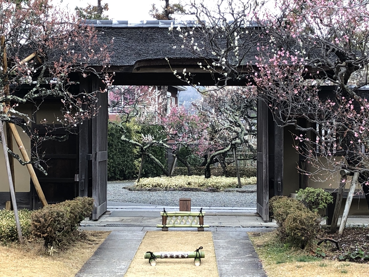 大磯プリンスの絶景スパでゆ ったりスパ三昧 大磯グルメ 平塚bmwスタジアム ふらっと湘南1泊旅行 平塚 大磯 神奈川県 の旅行記 ブログ By 428gusukuさん フォートラベル
