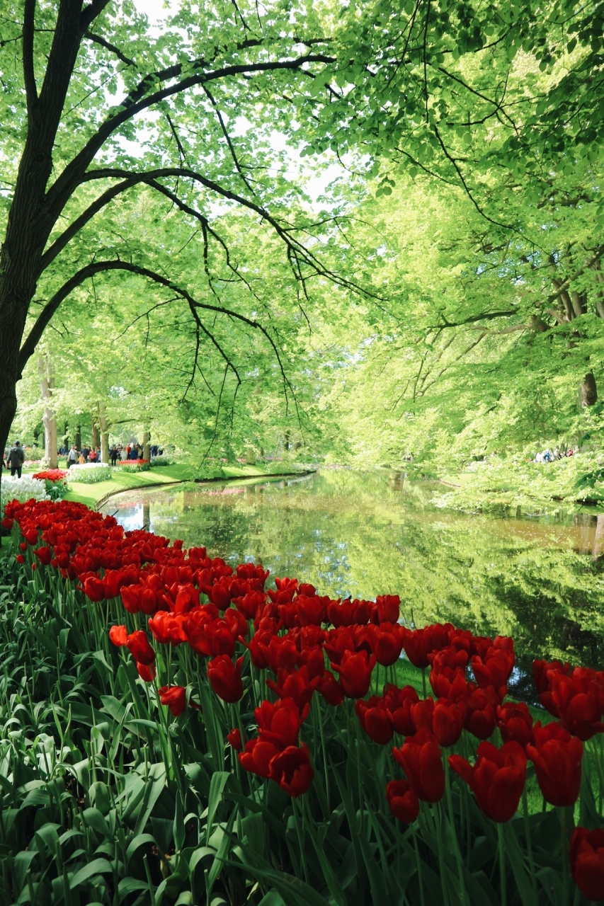 春のチューリップ旅 アムステルダム アムステルダム オランダ の旅行記 ブログ By Newcrossgirlさん フォートラベル