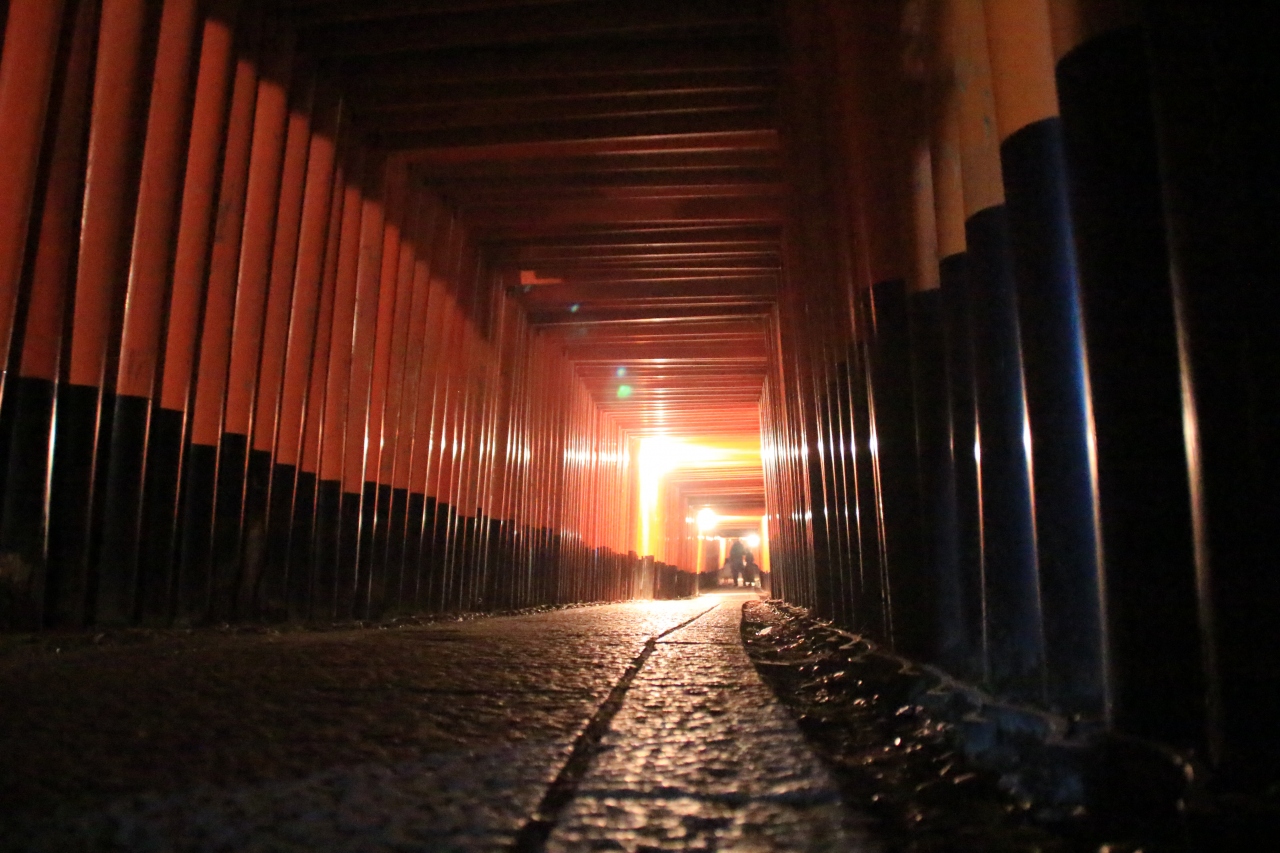 京都の初夏 深緑と苔と夜景 ５ 夜に訪れてみた伏見稲荷大社 伏見 京都 の旅行記 ブログ By 旅行三昧さん フォートラベル
