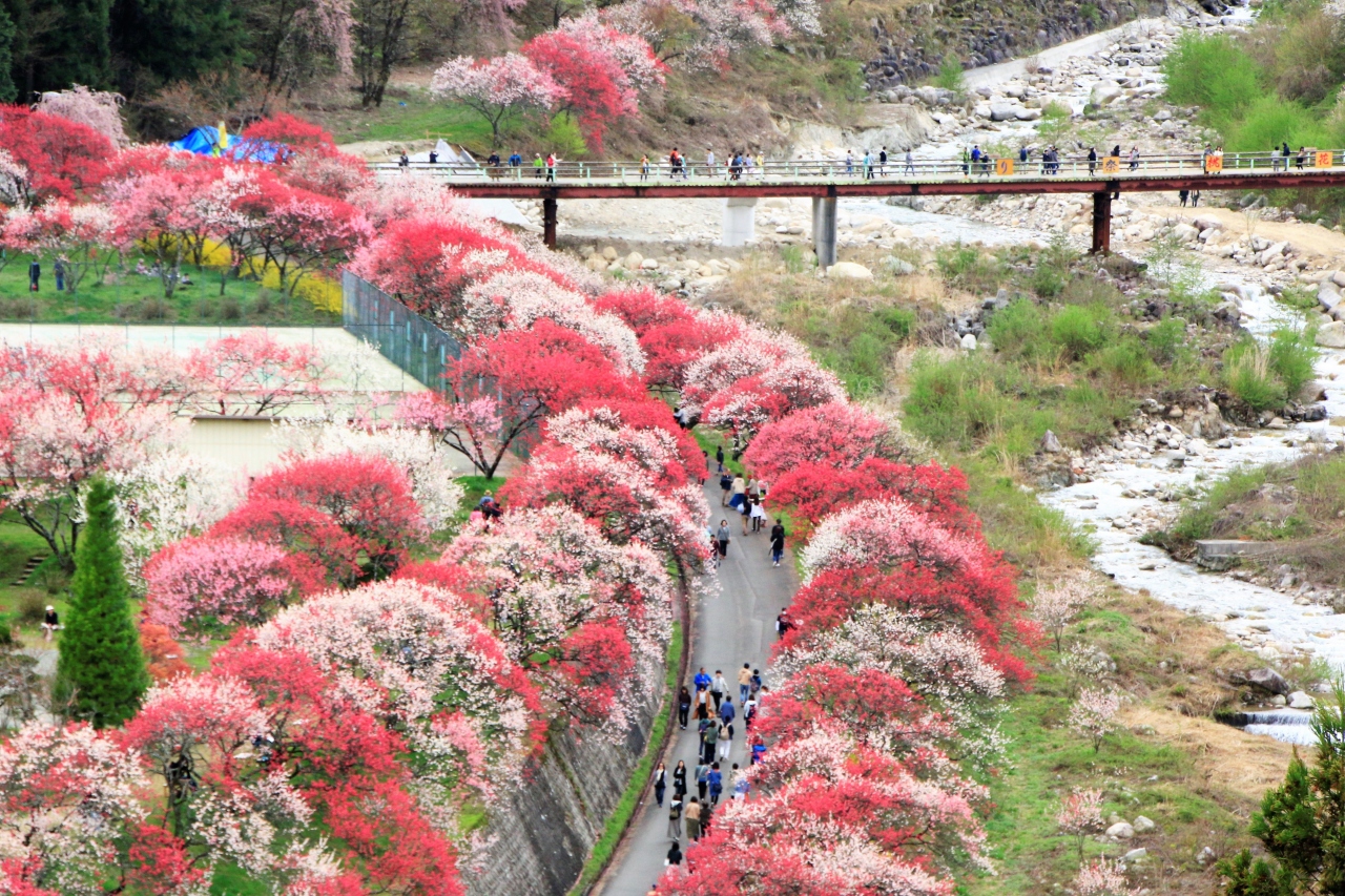 県 ポツン と 一軒家 富山