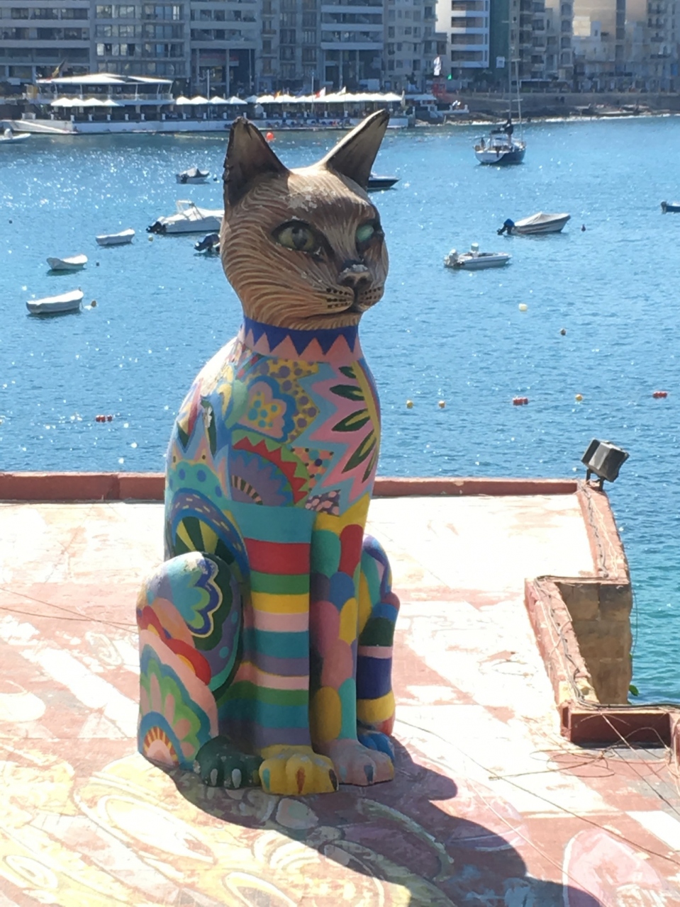 マルタの猫スポット セントジュリアンズ マルタ の旅行記 ブログ By カエルたんさん フォートラベル