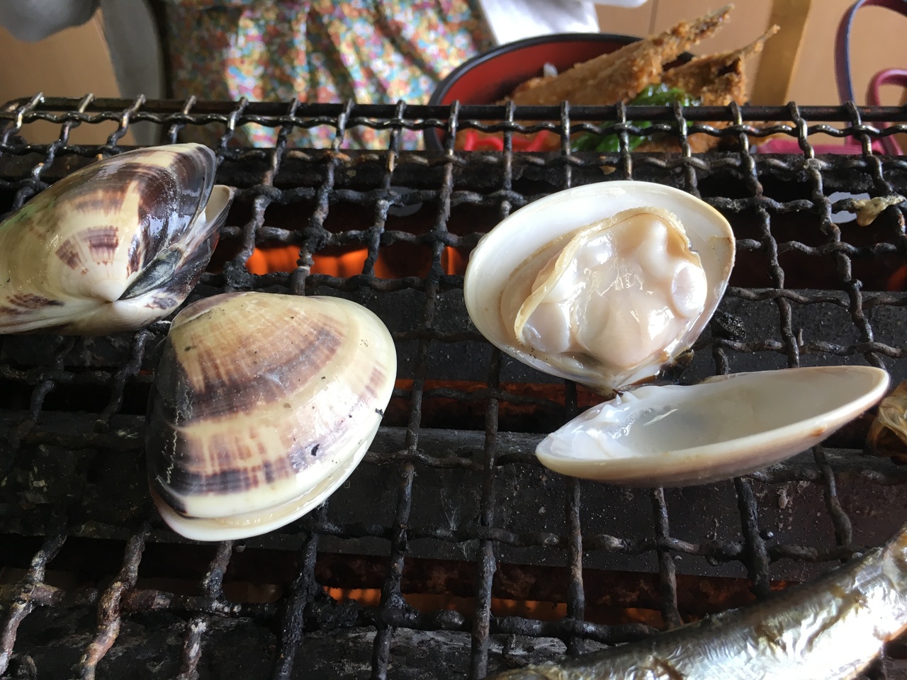 今日は海の日だから 九十九里浜の不動堂海水浴場の浜茶屋 向島 で本はまぐりの浜焼き 九十九里 千葉県 の旅行記 ブログ By てくてくさん フォートラベル