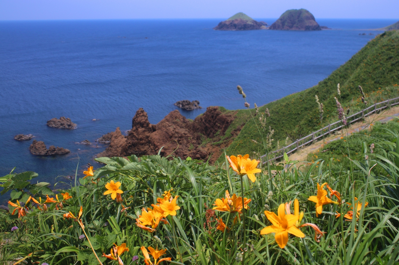 花の佐渡へ 大野亀 二つ亀 佐渡島 新潟県 の旅行記 ブログ By ターちゃんさん フォートラベル