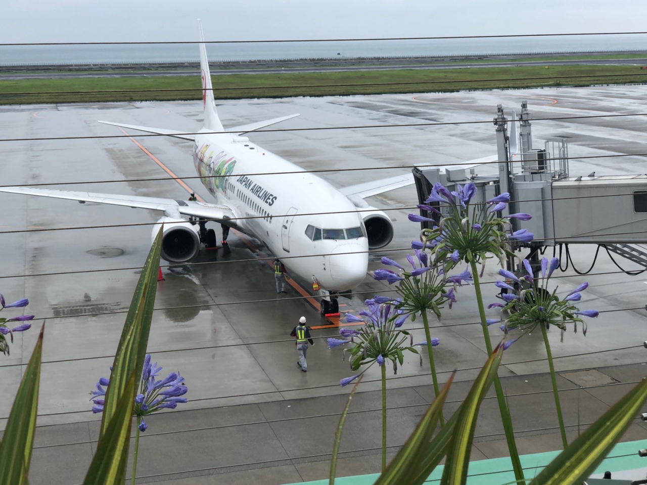 三連休を利用して娘と大分に帰省しました ２日目は大分空港でランチとお土産ショッピングしました 国東 くにさき 姫島 大分県 の旅行記 ブログ By Nanakoさん フォートラベル