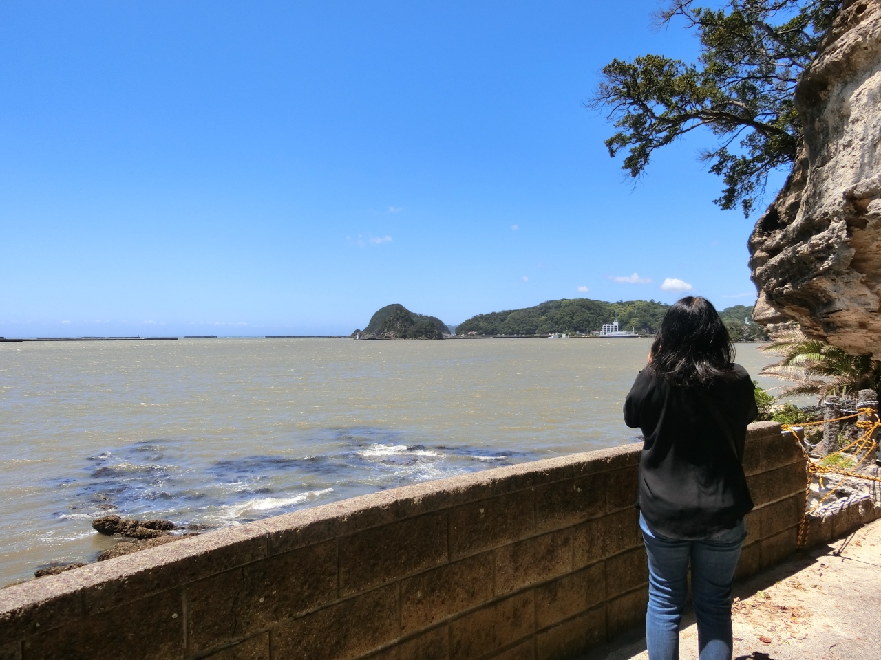 伊豆へ その６ 玉泉寺から弁天島 尾ヶ崎ウィングを巡り帰宅の途に 下田 静岡県 の旅行記 ブログ By Nichiさん フォートラベル