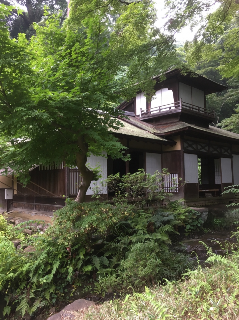 雨の三渓園をお散歩 中華街へ 本牧 根岸 磯子 神奈川県 の旅行記 ブログ By Sachieさん フォートラベル