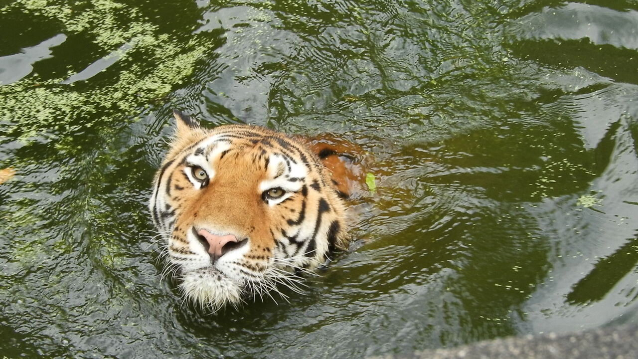 ２０１９年７月 青春１８きっぷのたび その３ 浜松 静岡県の旅行記 ブログ By ヤッシーさん フォートラベル